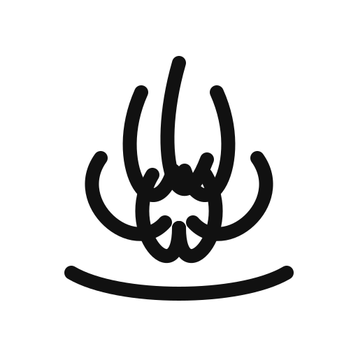 File:Lotus.svg